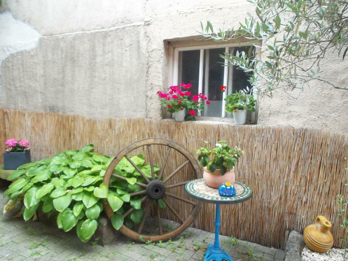 Ferienwohnungen Pension Aurora Kappel-Grafenhausen Ngoại thất bức ảnh
