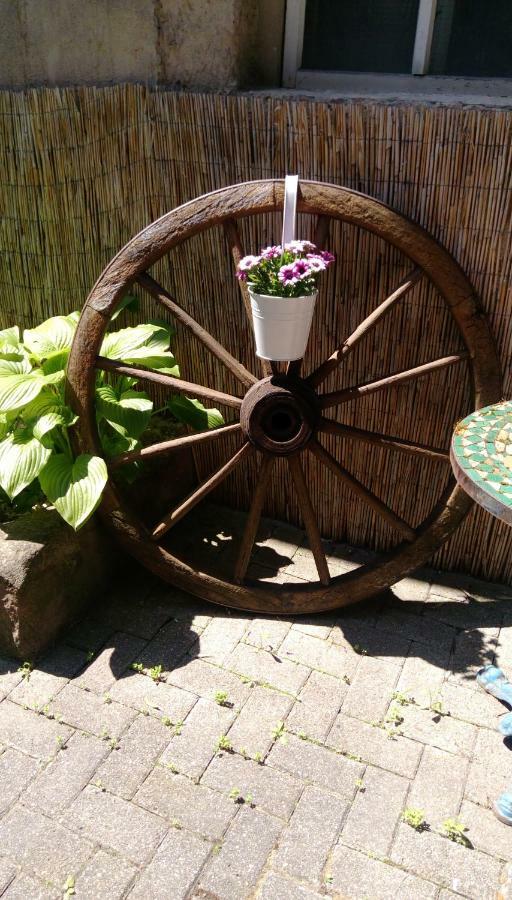 Ferienwohnungen Pension Aurora Kappel-Grafenhausen Ngoại thất bức ảnh
