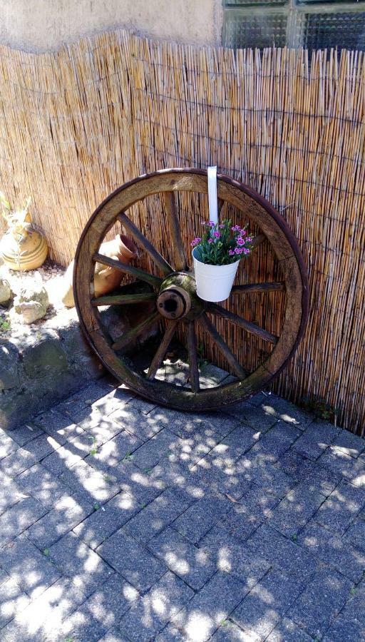 Ferienwohnungen Pension Aurora Kappel-Grafenhausen Ngoại thất bức ảnh